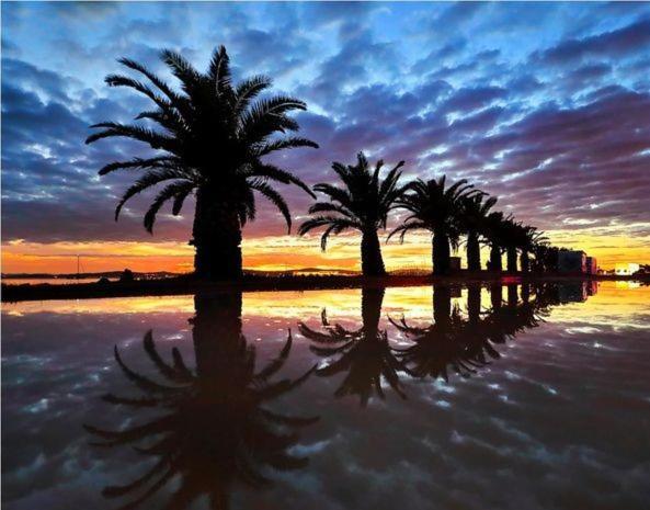 Apartmani Villa Elvira Sukošan Esterno foto